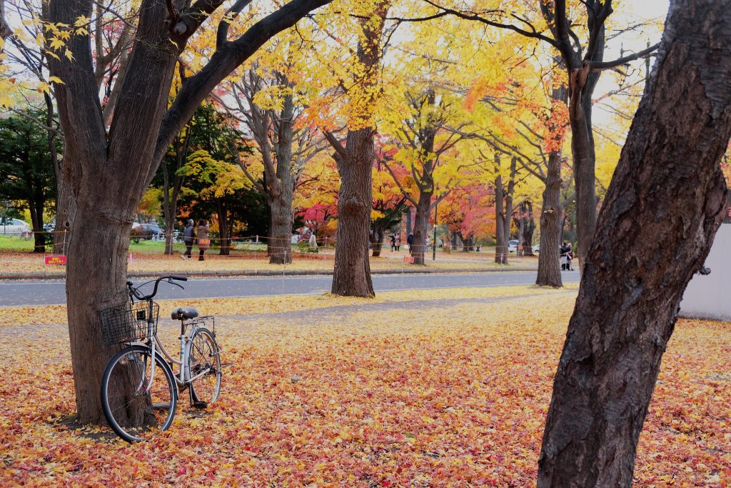 Les couleurs d'automne à l'université de Sapporo