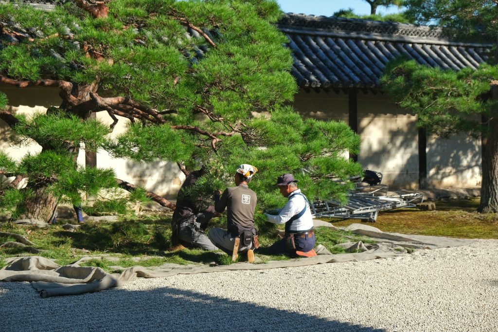 Les jardiniers zen du Tenryu-ji, un travail très précis