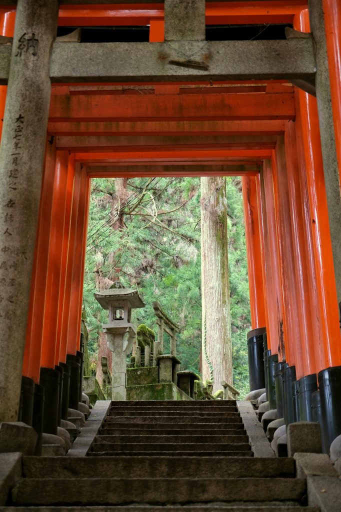 Les toriis du chemin du Fushimi Inari Taisha
