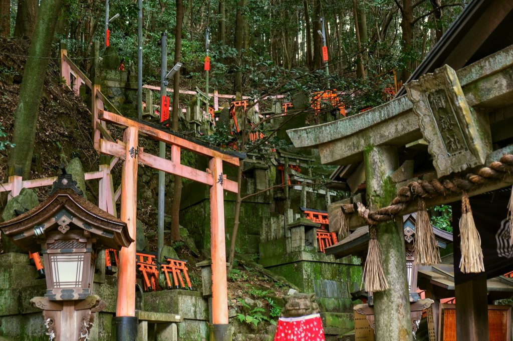 Les toriis sont partout sur ce sanctuaire