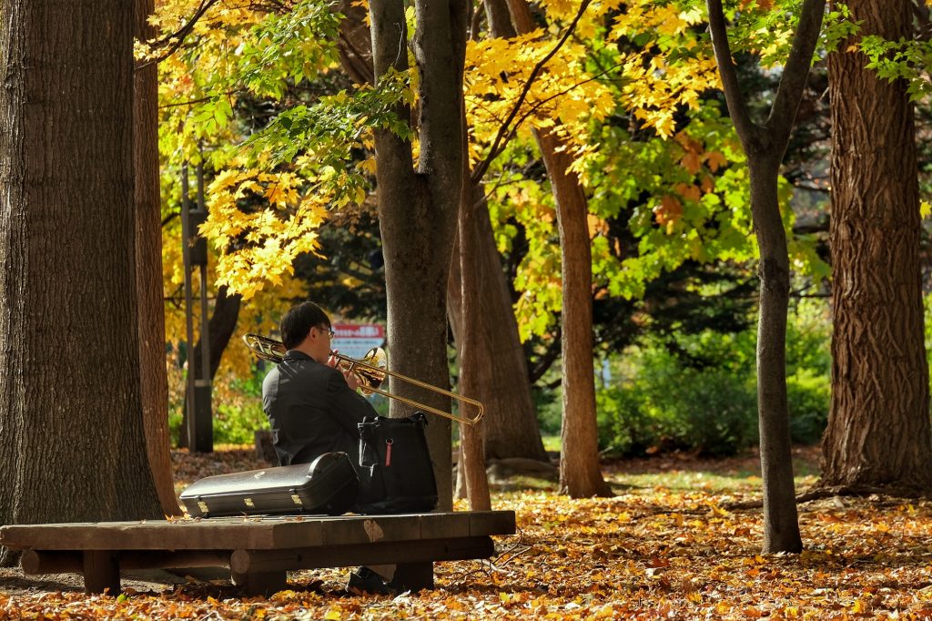 Un musicien dans le parc Nakajimakoen de Sapporo