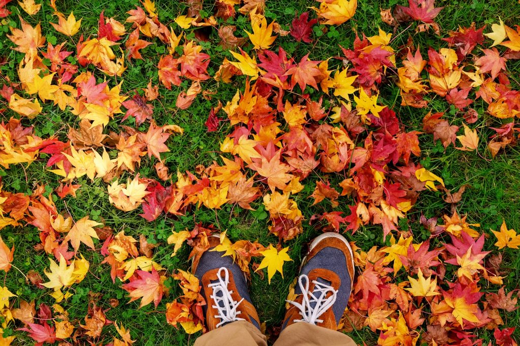 Les pieds dans les feuilles d'automne à Hokkaido