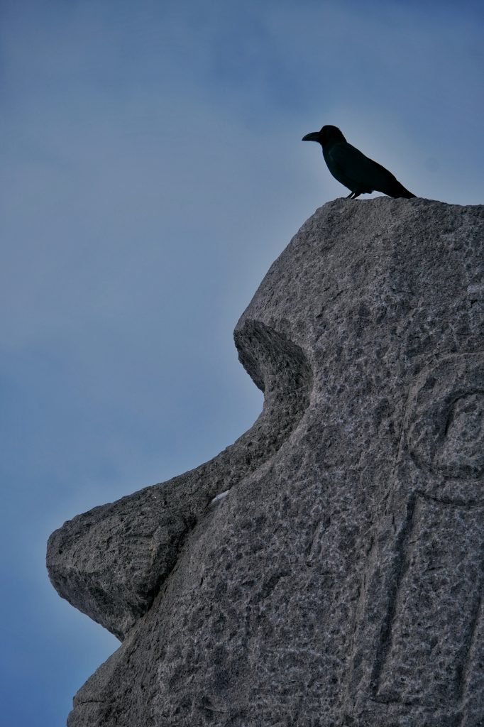 Un oiseau sur la tête d'un Moai à Takino, Hokkaido