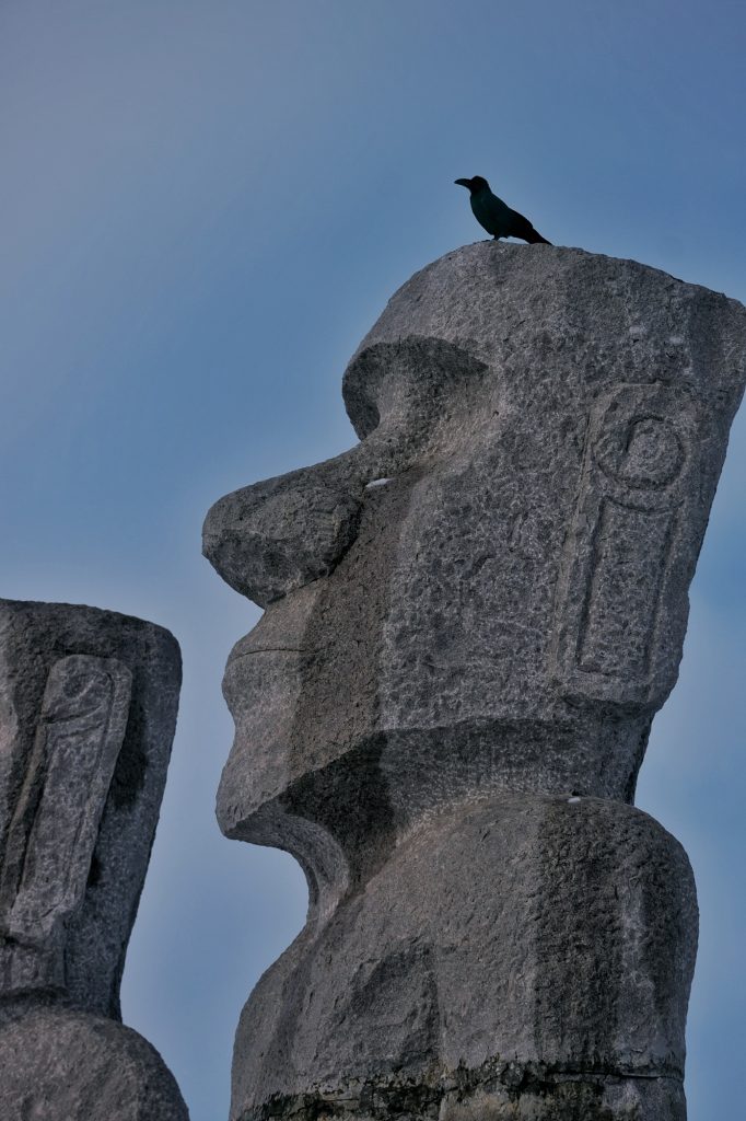 Un oiseau sur la tête d'un Moai à Takino