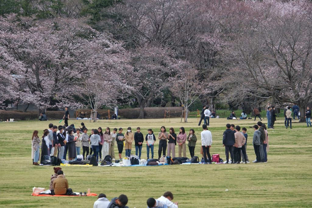 Un groupe profite du début de Hanami au parc Mémorial Showa