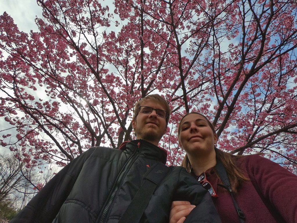 Selfie sous un cerisier en fleur du parc Mémorial Showa
