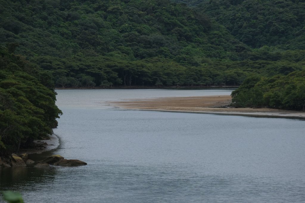 La rivière Urauchi sur l'île d'Iriomote