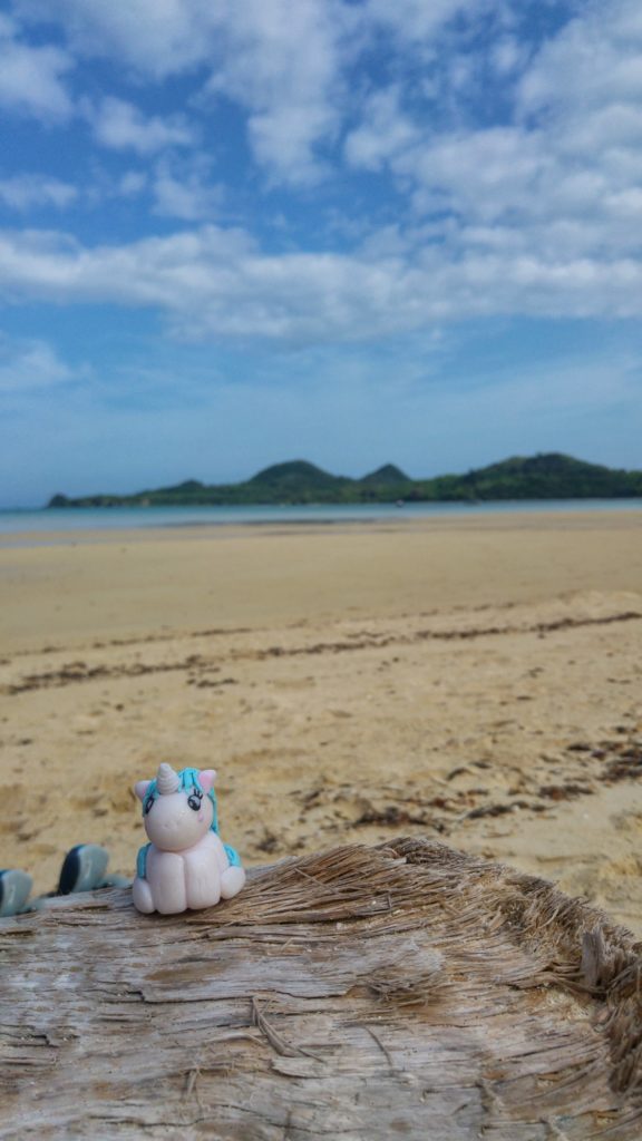 Stélie sur la plage de Sukuji