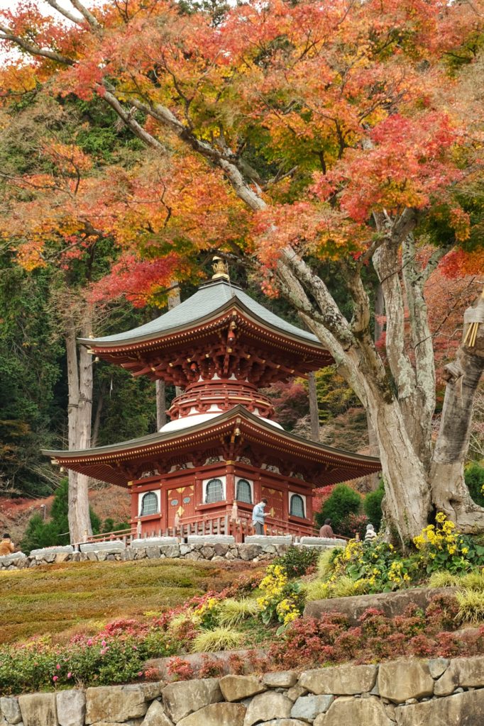 La pagode du Katsuo-ji et les arbres colorés de l'automne