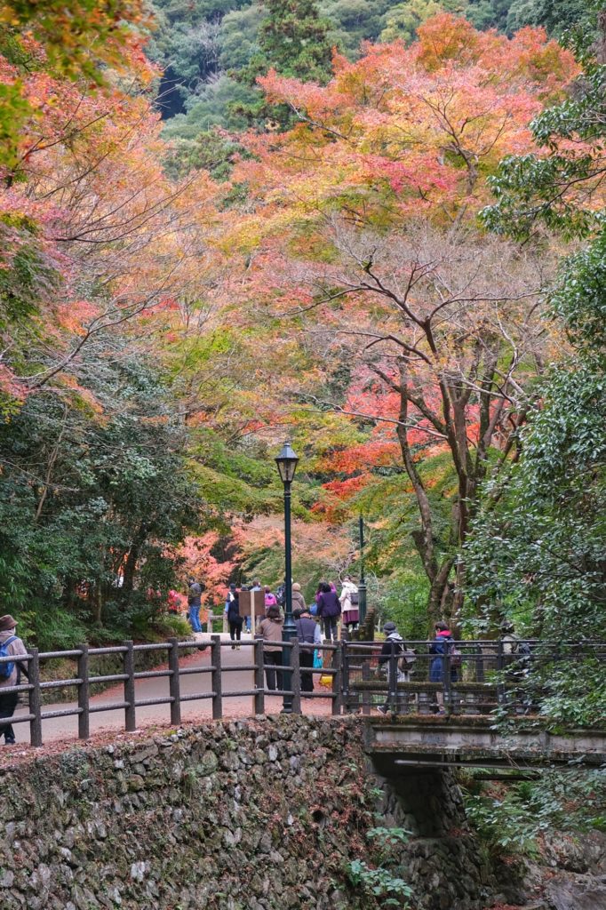 Les arbres aux couleurs de l'automne le long du chemin menant aux chutes de Minoo