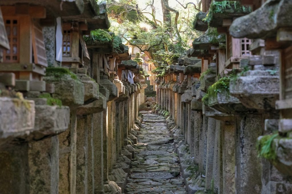 Un chemin entre les lanternes de pierre du Kasuga Taisha de Nara