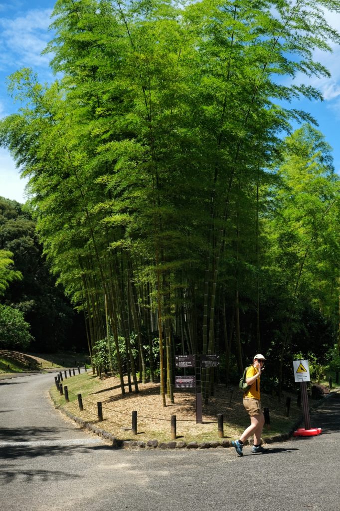 Claire choisit le chemin et abandonne Vincent au milieu des bambous du jardin japonais