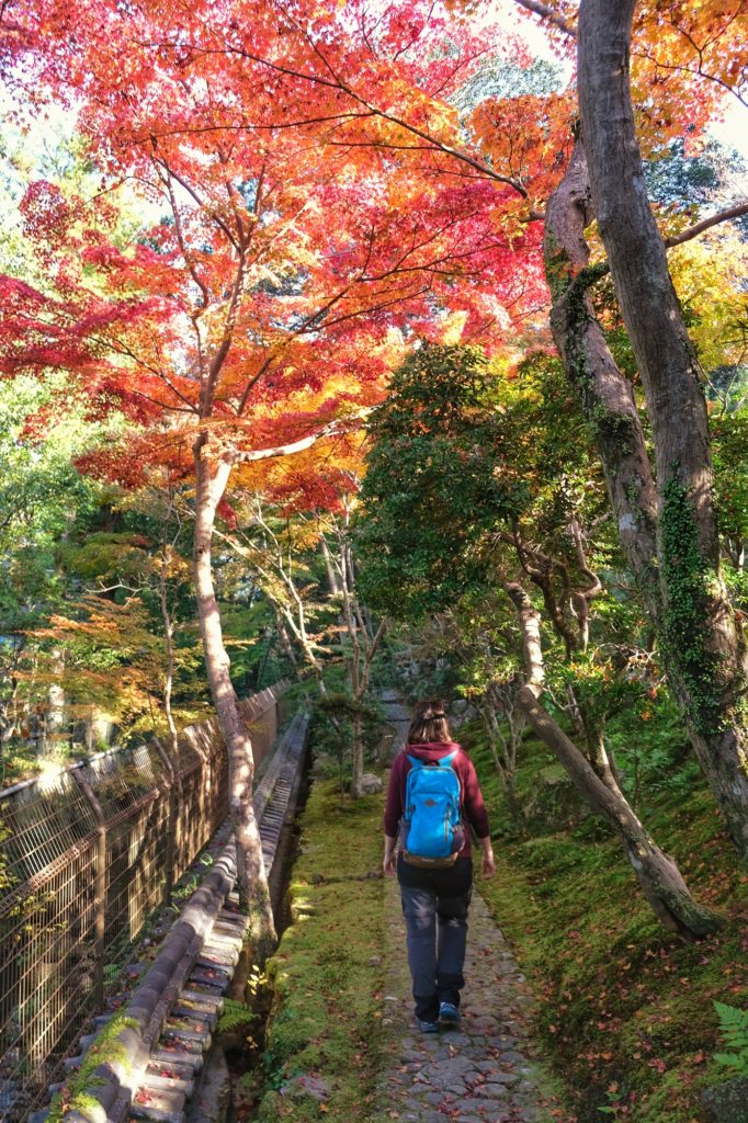 Claire monte sous les arbres aux couleurs de l'automne dans le jardin Yoshiki-en de Nara