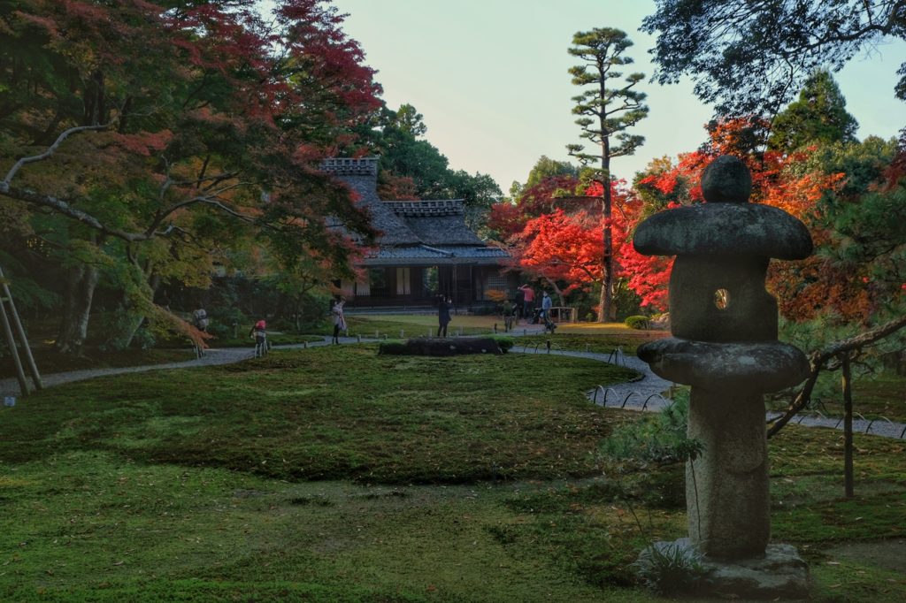 Un éclat de soleil sur les érables rouges du jardin Yoshiki-en de Nara