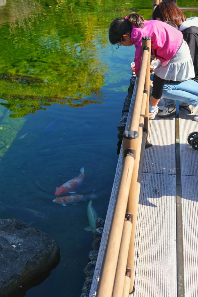 Des enfants observent les carpes dans l'étang du château d'Ikeda