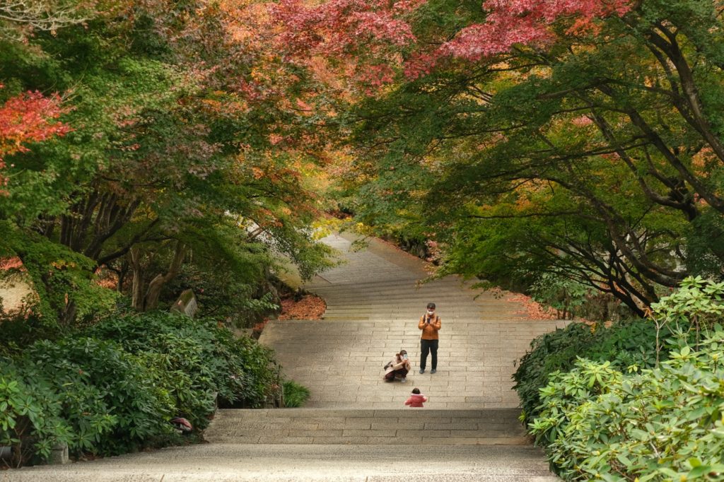 Séance photo sous les arbres colorés en automne au temple Katsuo-ji de Minoo