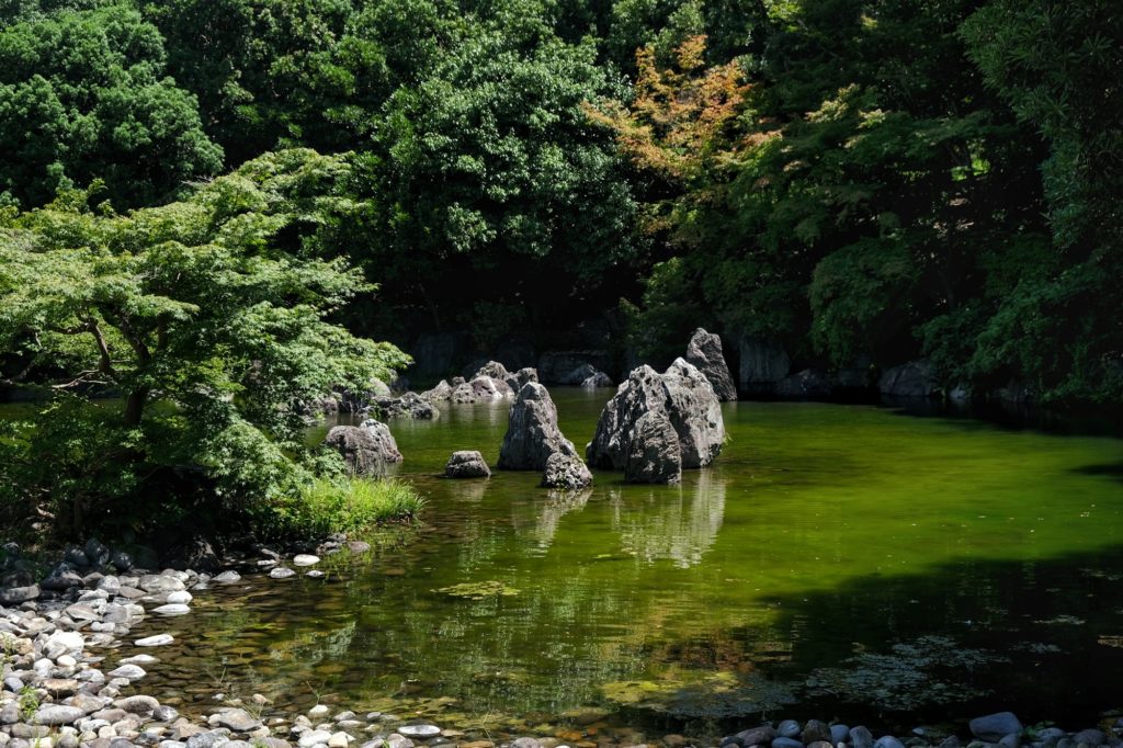 Un étang et ses rochers dans le jardin japonais du parc Expo '70