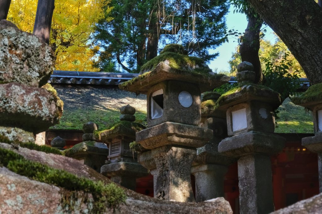 La mousse s'installe sur les lanternes et les toits dans la forêt de Nara