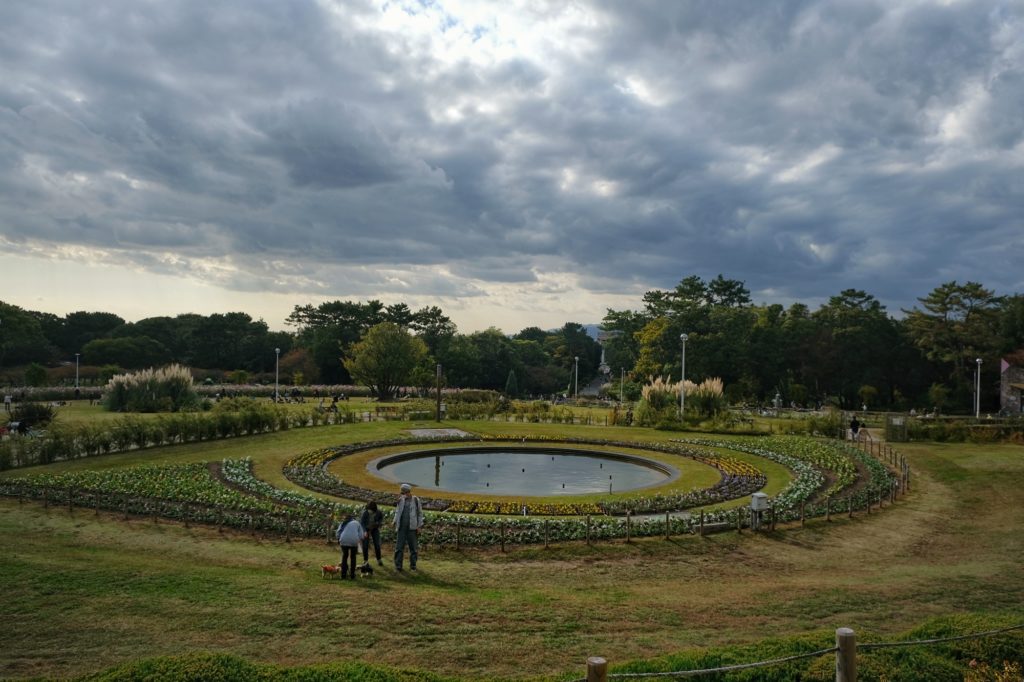 Parterre de fleurs circulaire au parc Hattori Ryokuchi près d'Osaka