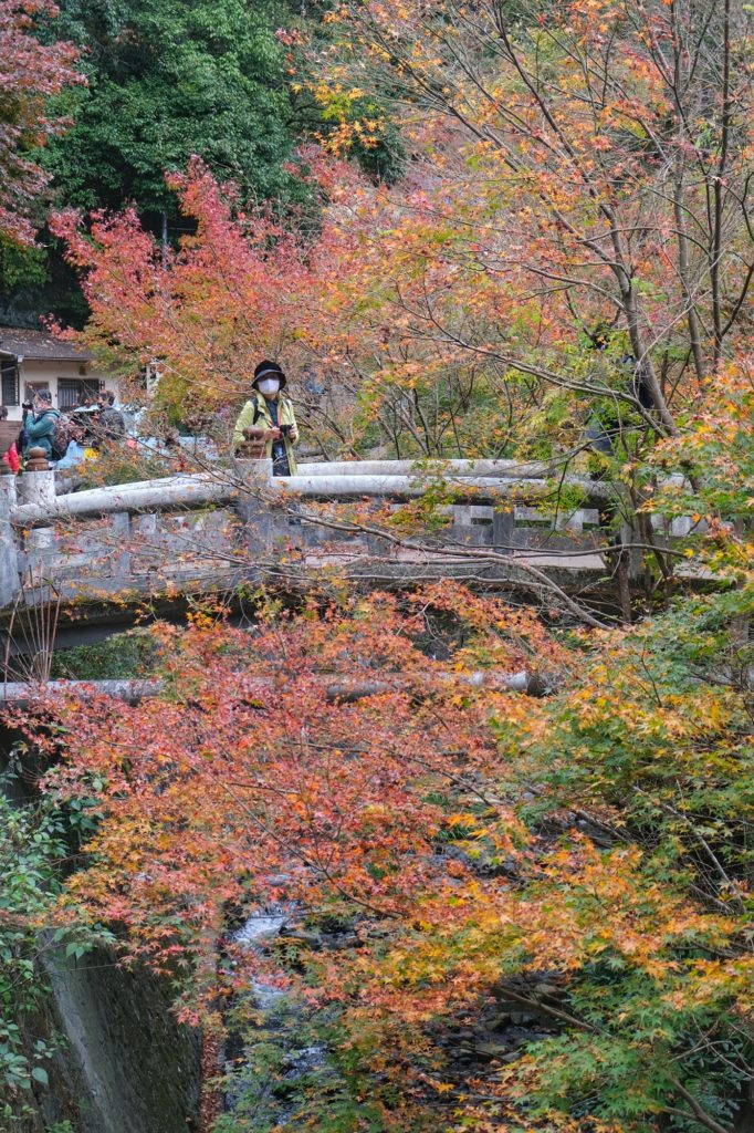 Une dame sur un pont en surplomb de la rivière Minoo devant les arbres d'automne