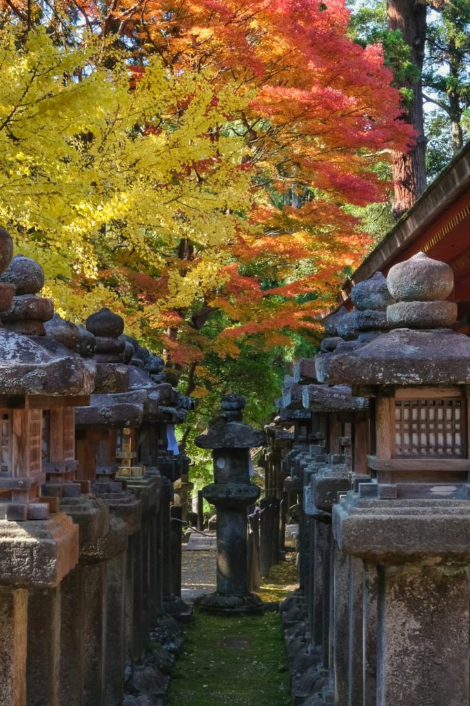 Une rangée de lanternes en pierre sous les arbres de l'automne à Nara