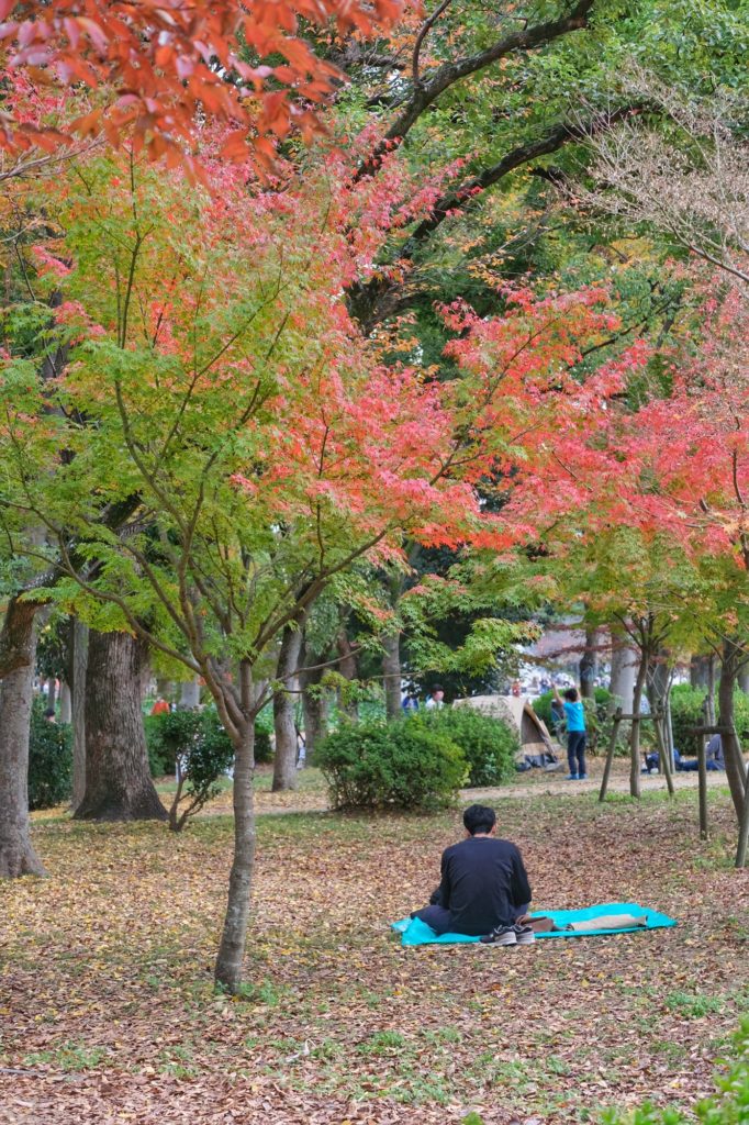 Petite pause sous les arbres d'automnes du parc du château d'Osaka