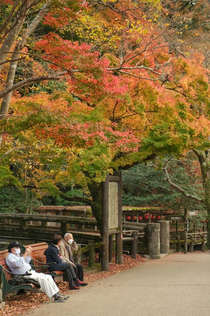 Pause sous les arbres aux couleurs d'automne le long de la rivière Minoo