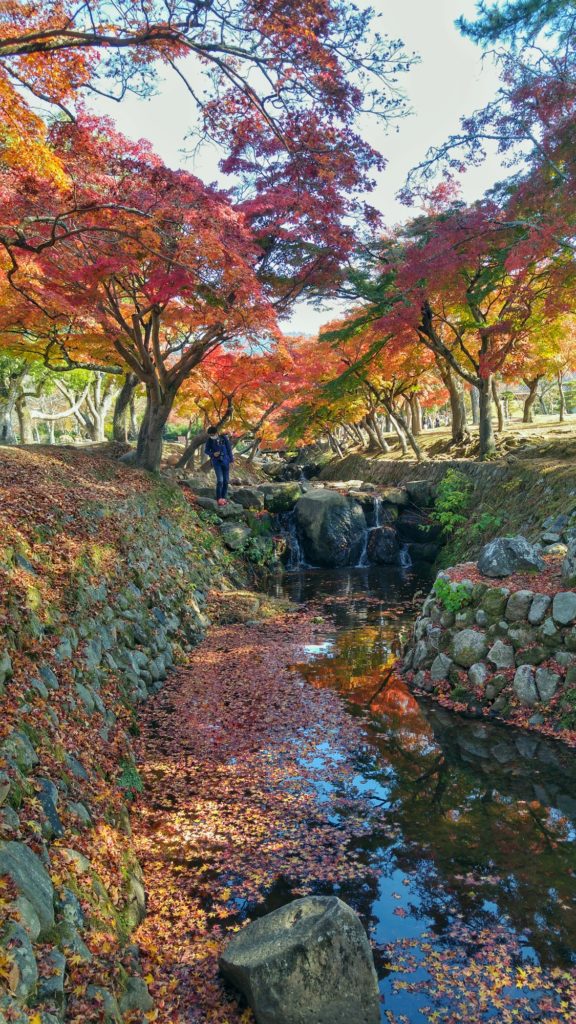 Ruisseau aux couleurs de l'automne à Nara