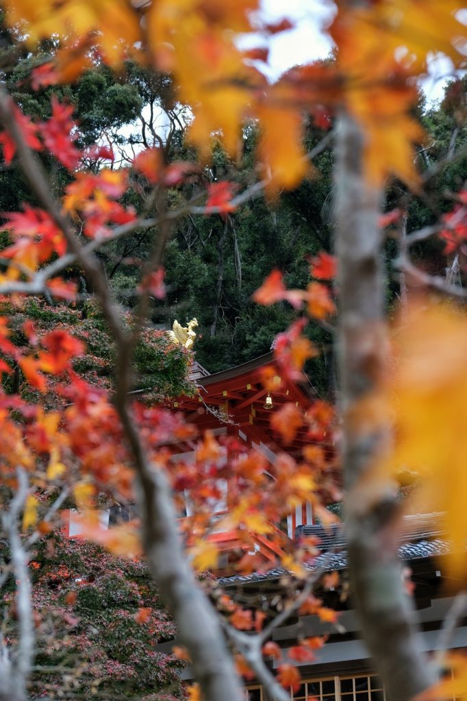 Le temple Ryuanji à travers les feuilles d'automne dans le parc de Minoo
