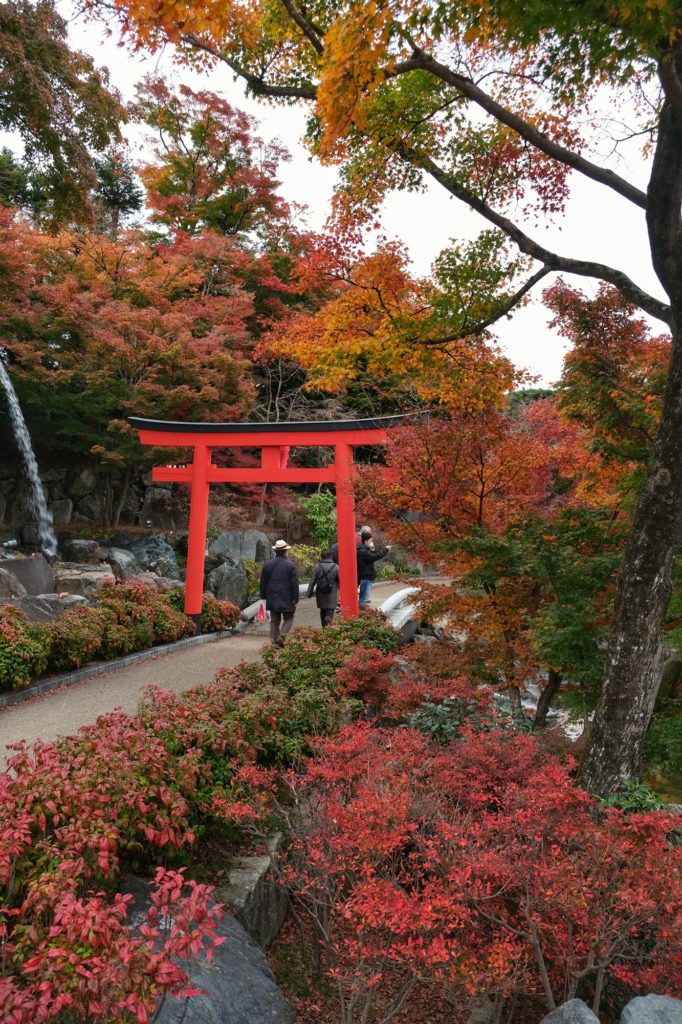 Un torii sous les arbres d'automne du temple Katsuo-ji à Minoh
