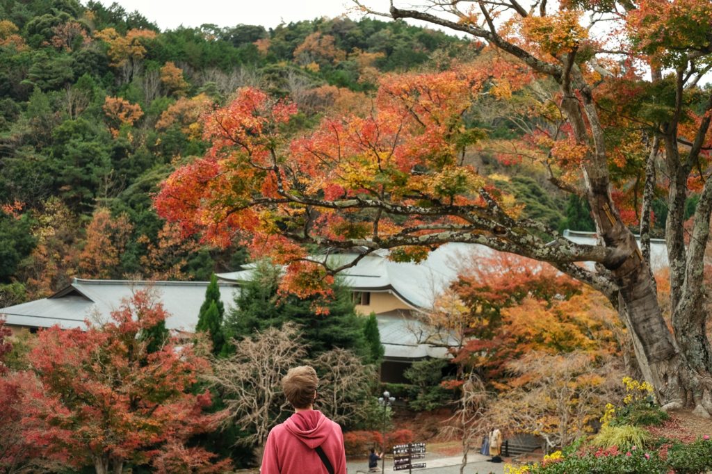 Vincent contemple les arbres colorés du temple Katsuo-ji