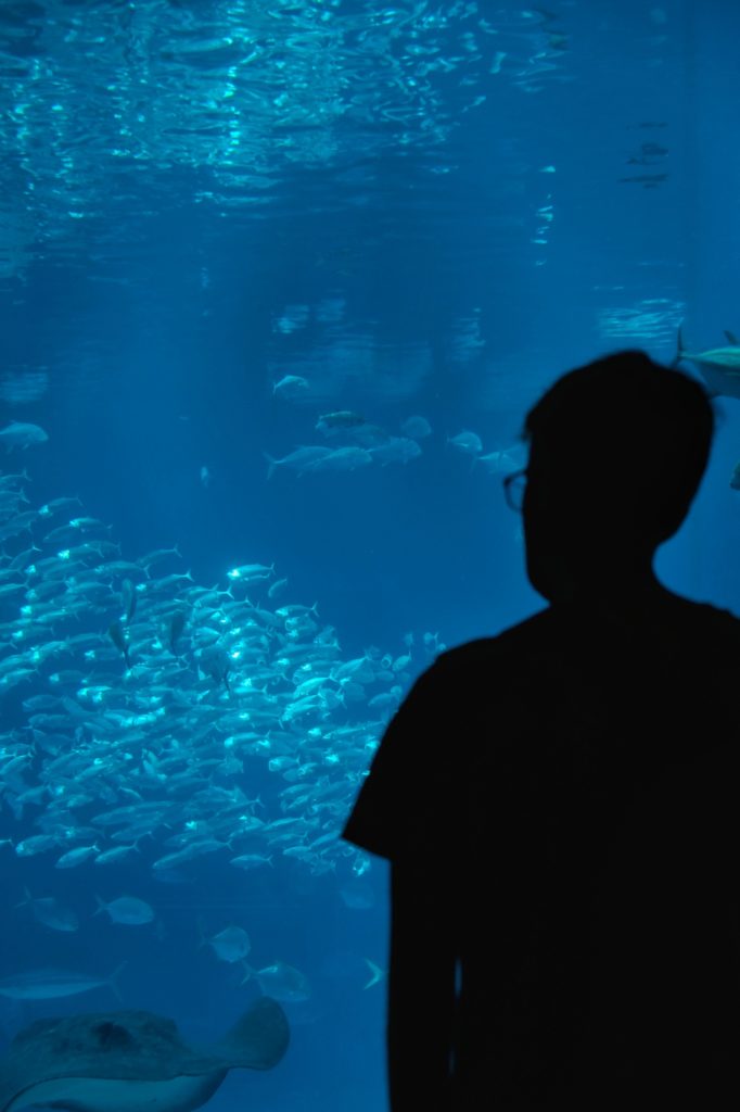 Vincent devant le bassin central de l'aquarium d'Osaka