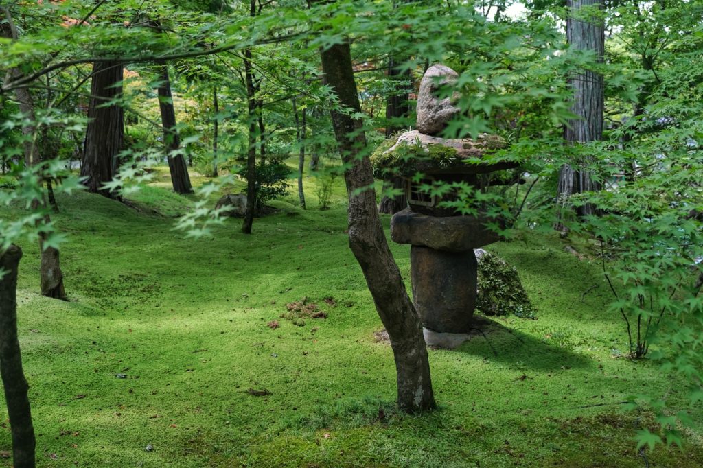 Le sol recouvert de mousse dans le jardin du Eikan-do Zenrin-ji