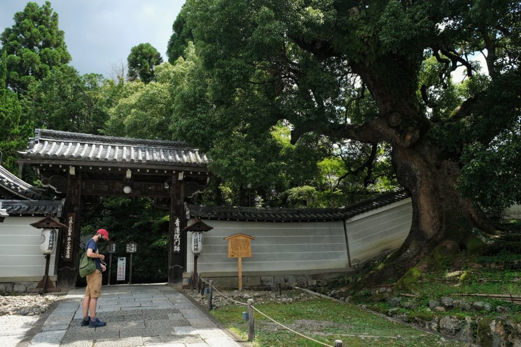 Vincent devant l'entrée du temple Shoren-in à Kyoto