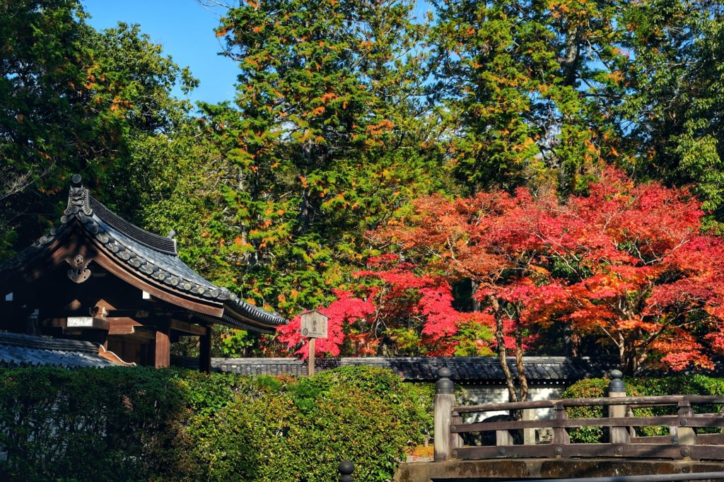 Vue du jardin du Kokedera à Kyoto depuis l'extérieur