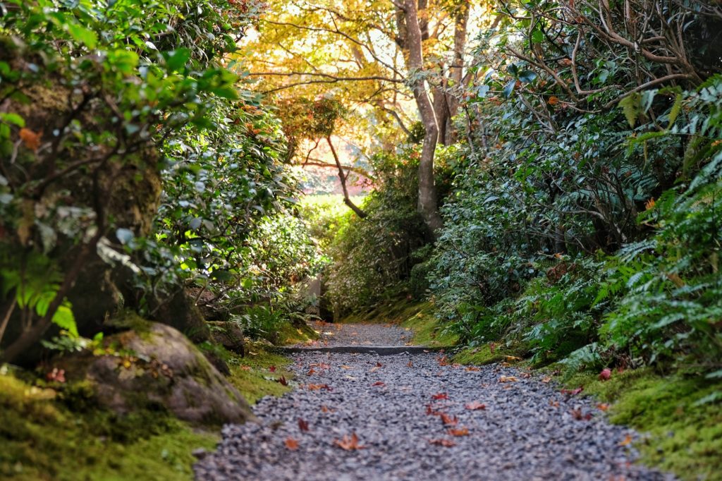 Un chemin dans la forêt du Okochi Sanso à Kyoto