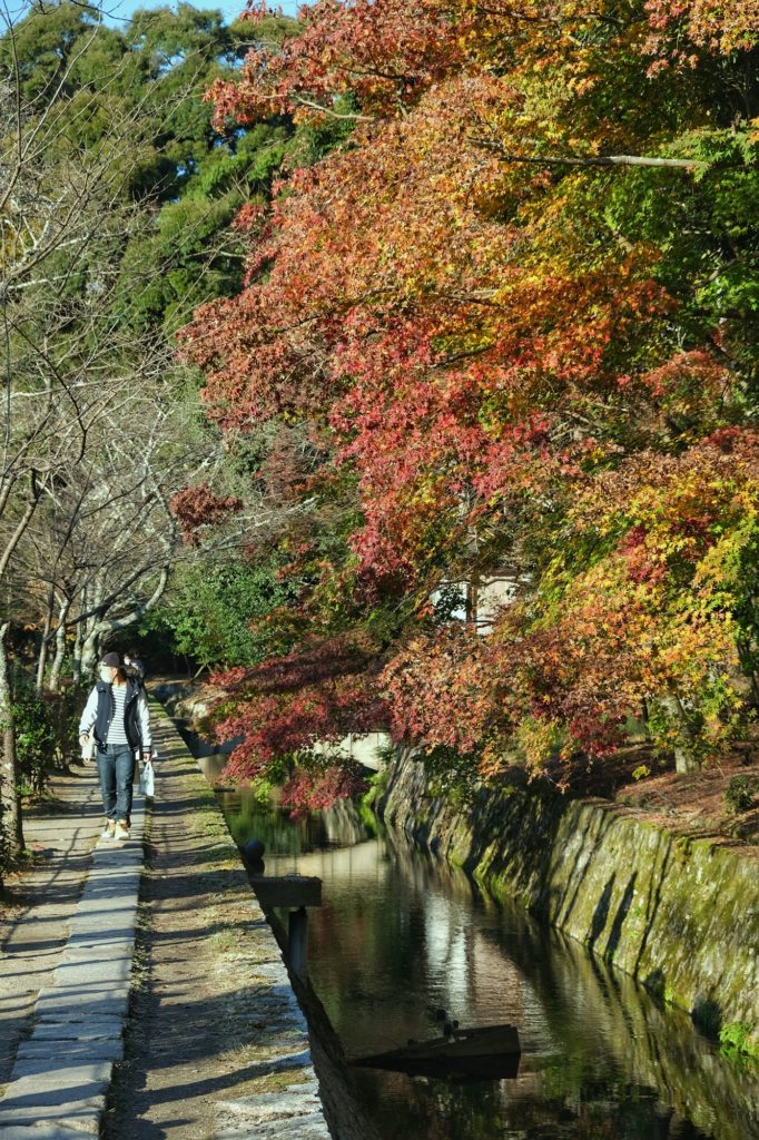 Le chemin de la philosophie de Kyoto et ses derniers arbres encore feuillus en automne