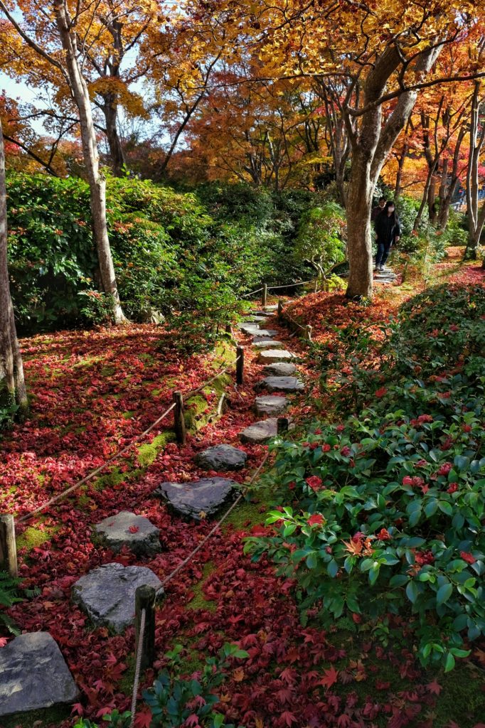 Un chemin à travers les érables et les feuilles mortes de l'automne dans un jardin du Okoshi Sanso