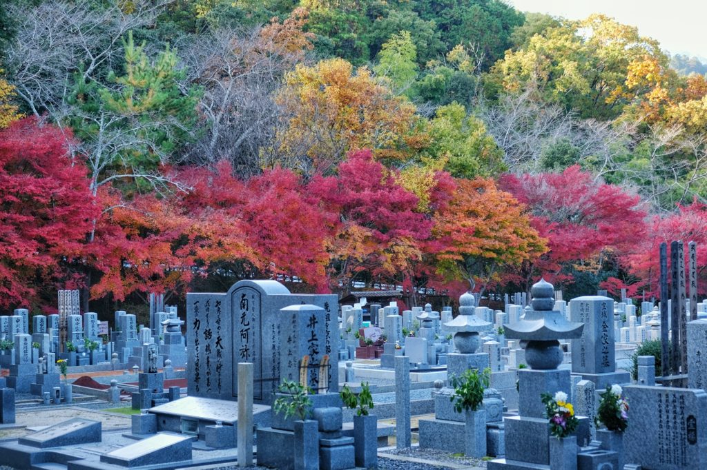 Les érables rouges et orange au cimetière du temple Adashino Nenbutsu-ji à Kyoto