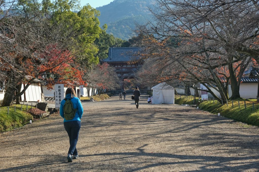 Claire sur l'allée principale menant au temple Daigo-ji dans l'est de Kyoto
