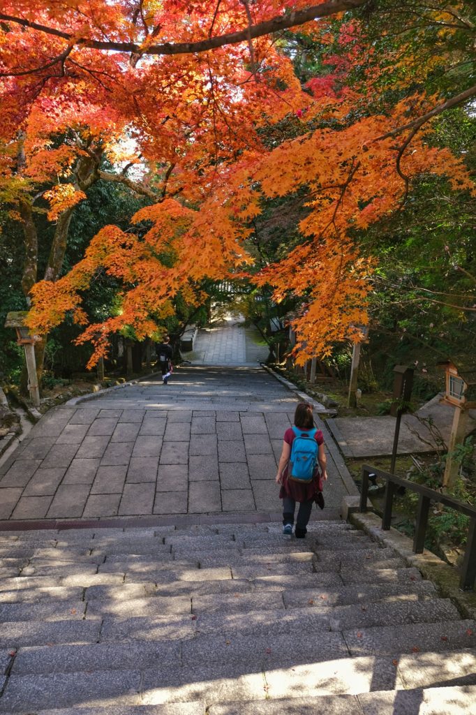 Claire descend les escaliers du Horin-ji sous les érables orange
