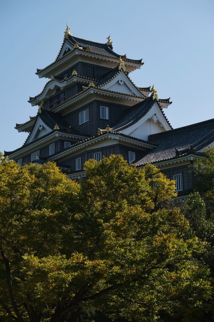 Le château du corbeau Ujo à Okayama
