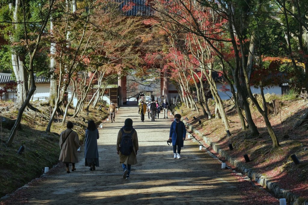 Les visiteurs devant le porte principale du Daigo-ji sous les érables un peu défraichis