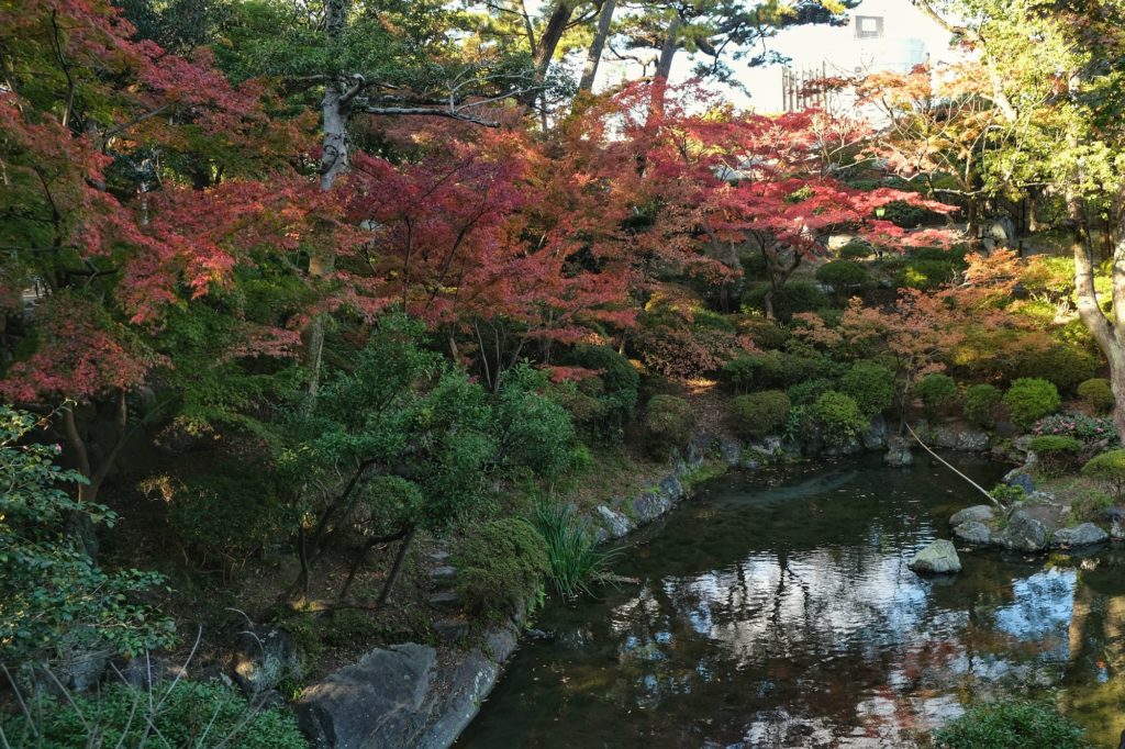 L'étang du parc Nishinomaru Teien et ses momiji en automne