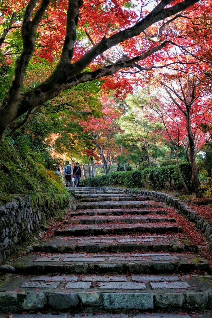 Les escaliers menant au temple Nenbutsu-ji sous les momiji