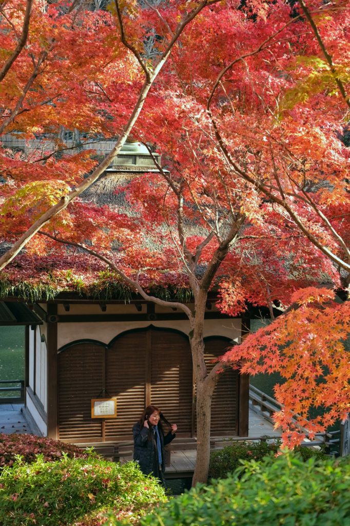 Une femme devant une petite maison sous les érables de l'automne dans le parc Nishinomaru Teien du château de Wakayama