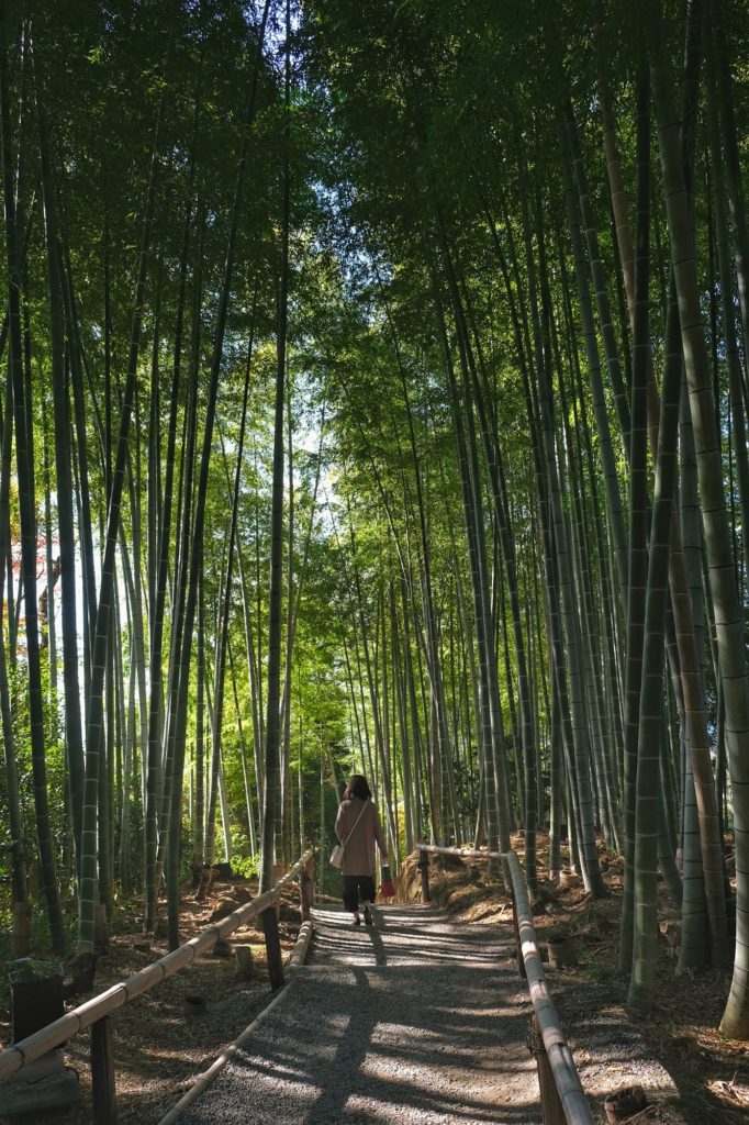 Une dame au milieu des bambous du temple Kodai-ji de Kyoto