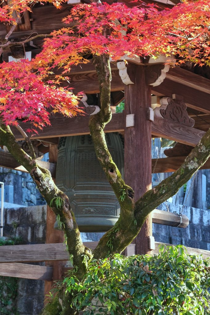 La cloche du Eikan-do Zenrin-ji entouré des feuilles d'érables colorés de l'automne