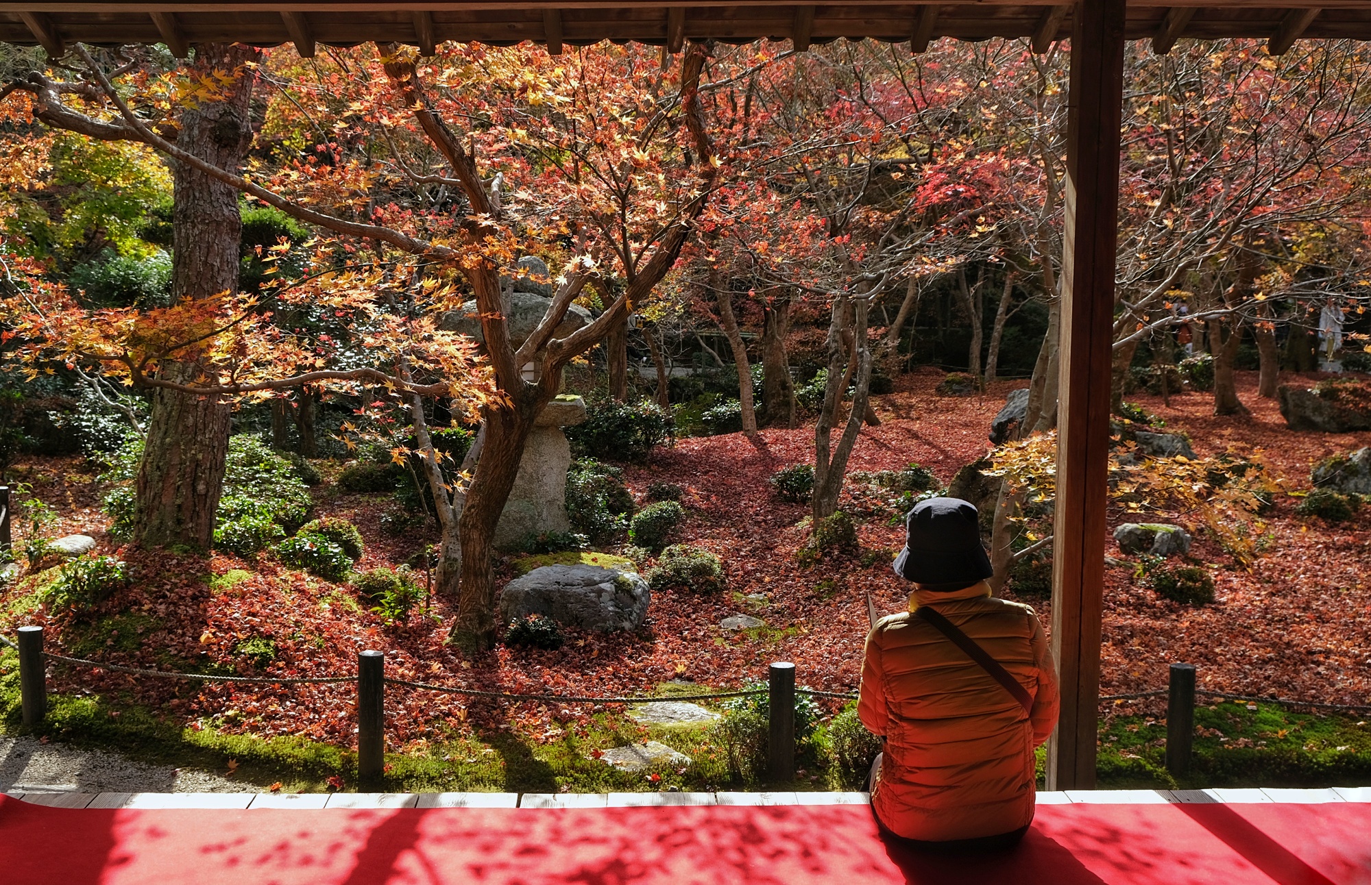 Une dame profite de la vue des jardins du temple Enko-ji depuis le pavillon de ce dernier