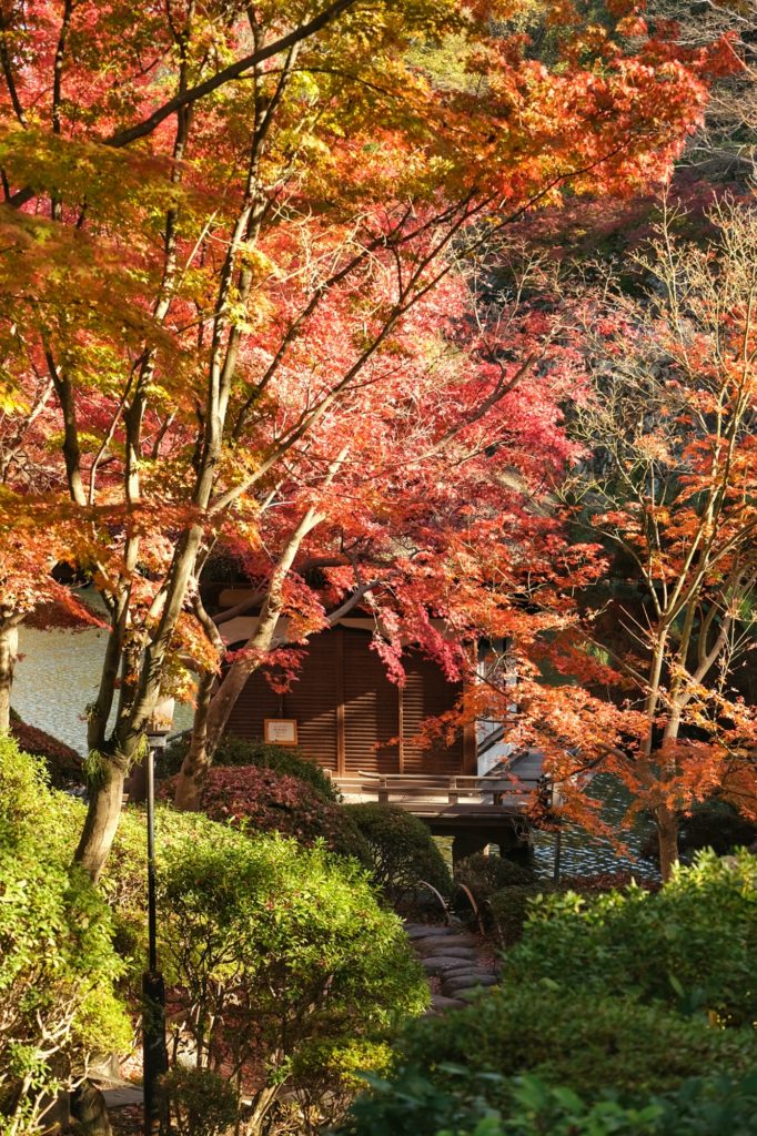 Une maison au bord des douves du château de Wakayama et les momiji de l'automne qui l'entourent